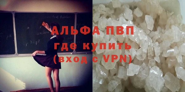 мдпв Ельня
