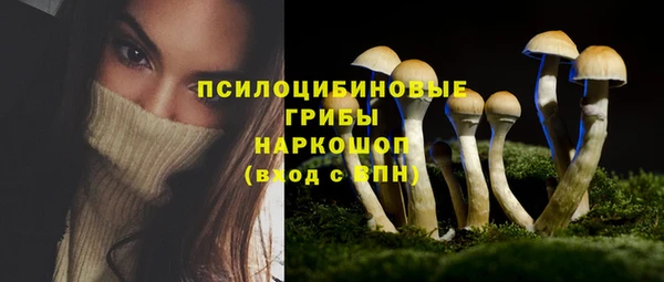 мяу мяу кристалл Елабуга