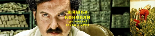 мдпв Ельня