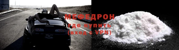 мдпв Ельня