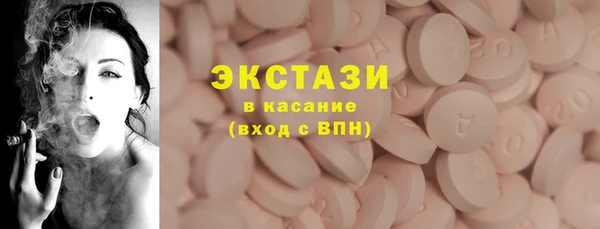 мдпв Ельня