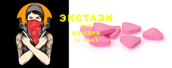 мдпв Ельня