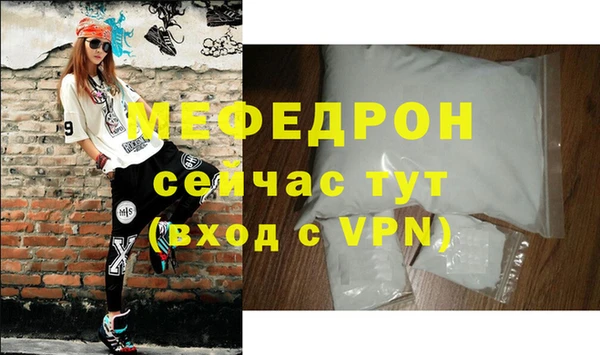 мдпв Ельня