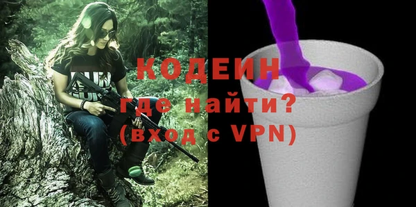 мдпв Ельня