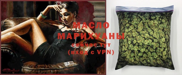мдпв Ельня