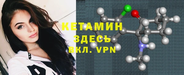 мдпв Ельня