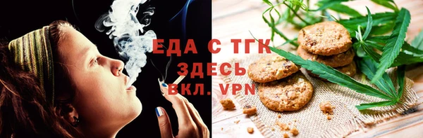 мдпв Ельня