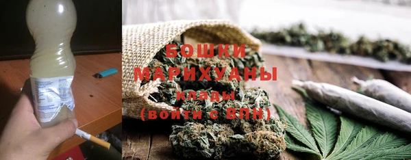 spice Дубна