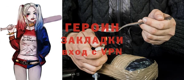 мдпв Ельня