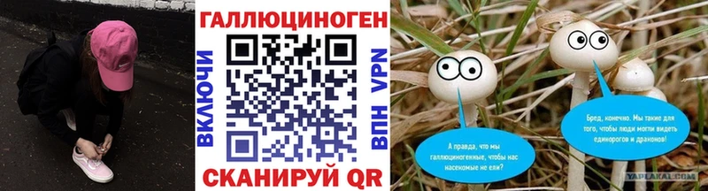 где купить   Макаров  Галлюциногенные грибы Psilocybe 